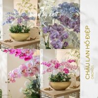 Chậu hoa giả Lan Hồ Điệp đại cao cấp - Chậu Lan Hồ Điệp sang trọng trang trí nhà cửa, phòng khách, đại sảnh siêu đẹp