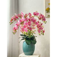Chậu Hoa Giả Trang Trí - Hoa Lan Hồ Điệp Cao 55cm, 10 Cành Lan Cắm Sẵn Cùng Chậu Sứ. Ảnh Thật Shop Chụp. Amy Flowers