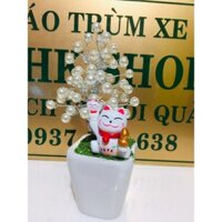 CHẬU HOA HẠI TRAI TRANG TRÍ MÈO MAY MẮN 15CM