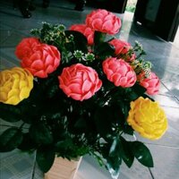 Chậu hoa hồng xoắn bằng giấy nhún .