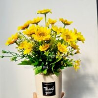 Chậu hoa hướng dương/ Chậu cẩm tú cầu cao 30-35cm, chậu đất nung 11cm