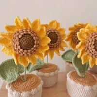 Chậu hoa hướng dương để bàn size lớn