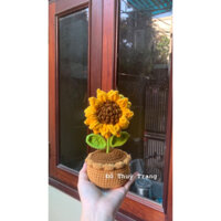 Chậu hoa hướng dương handmade