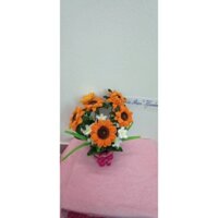 Chậu hoa hướng dương kẽm nhung
