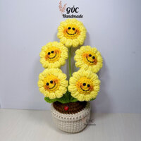 Chậu Hoa Hướng Dương Mặt Cười 5 Bông