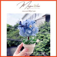 Chậu hoa khô mini Cẩm Tú Cầu bất tử nhiều màu sắc