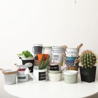 Chậu hoa kim loại Bắc Âu, phong cách Ins, chậu suculent kim loại retro, lưu trữ trên bàn, giá đỡ bút nghệ thuật sắt, chậu cầm tay nhỏ NPCE