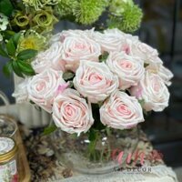 CHẬU HOA LADIES ROSE