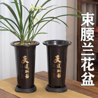 Chậu hoa lan đặc biệt, chậu nhựa bán buôn, bán thanh lý đặc biệt, chậu hoa giả đất sét tím Clivia, chậu cỏ hoa lan cao cấp