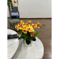 Chậu hoa lan hồ điệp 5 nhánh đầy đủ cây và chậu - cây hoa giả