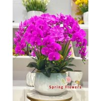 Chậu Hoa Lan Hồ Điệp Cao Su Cắm Sẵn Cùng Chậu Sứ, Cao 70cm, Ngang 65cm. Trang trí phòng khách hiện đạii