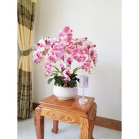 Chậu Hoa lan hồ điệp cao su cao cấp 10 cành (cành 9 bông to)