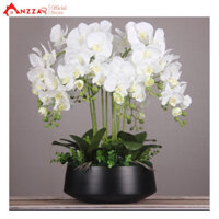 Chậu hoa lan hồ điệp giả 10 cành cấp cao 60cm để bàn trang trí phòng khách, nhà hàng, khách sạn sang trọng CL-04