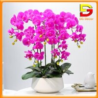Chậu Hoa Lan Hồ Điệp Giả Cao Cấp Hoa Trang Trí Phòng Khách Bàn Trà Quầy Lễ Tân DC-229