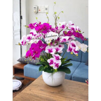 Chậu hoa lan hồ điệp giả chất liệu cao su cao cấp trang trí phòng khách, làm quà tặng…