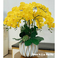 Chậu hoa lan hồ điệp giả mã HDG - 053 - 10 Cây