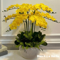 Chậu hoa lan hồ điệp giả mã HDG - 052 - 10 Cây