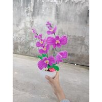 Chậu hoa lan hồ điệp tím bằng kẽm nhung để bàn ........