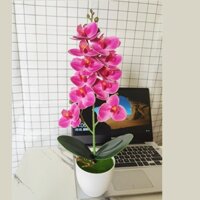 Chậu Hoa Lan Nhân Tạo hiasan bajet bunga Virus 2t Trang Trí Nội Thất Phòng Khách / Phòng Ngủ