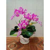 Chậu hoa lan pha lê 3cành, cao 42cm rộng 30cm đủ màu