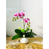 Chậu Hoa Lan Tiểu Hồ Điệp 2 Nhánh Trang Trí Decor Phòng Để Bàn - hoa giả cao cấp