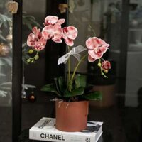 Chậu hoa Lan Tiểu Hồ Điệp giả cao cấp trang trí nhà cửa – 2 cành lan cắm trang trí bàn làm việc, kệ tủ siêu đẹp