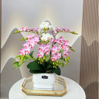 Chậu hoa Lan Tiểu Hồ Điệp giả cao cấp trang trí nhà cửa.25 cành lan cắm cùng chậu.Cao 75cm. Video, ảnh thật shop chụp.