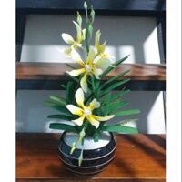 Chậu hoa Lan vũ nữ bằng đất sét