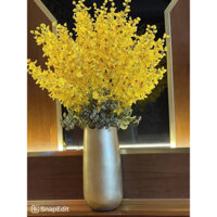 chậu hoa lan vũ nữ vua cắm sẵn cao 1,2m trang trí phòng khách , tủ kệ , khai trương