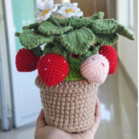 Chậu hoa len dâu Tây handmade