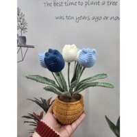 CHẬU HOA LEN LOẠI 1 HANDMADE