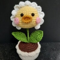 Chậu hoa len vịt mỏ hỗn để bàn trang trí decor handmade