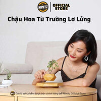 Chậu Hoa Lơ Lửng | Chậu Bonsai Bay | Hàng Nhập Chính Hãng