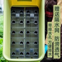 Chậu hoa lớn hình chữ nhật Alice, hộp rau, rau củ xanh, hoa nhài, chậu hoa cực lớn, chậu trồng rau