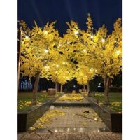 Chậu hoa mai giả cỡ lớn trang trí nhà hàng cao 2m HOẢ TỐC HCM cây mai nhựa trưng Tết 2025.