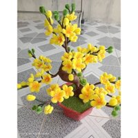 CHẬU HOA MAI HOA ĐÀO KẼM NHUNG