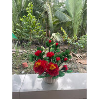 chậu hoa mẫu đơn