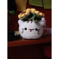 chậu hoa mèo hướng dương😺🌻🌻🌻(order trước 1 tuần)