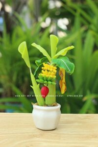 Chậu hoa mini- Cây chuối