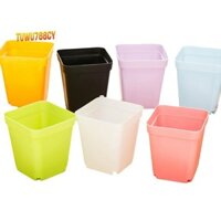 Chậu hoa Mini đầy màu sắc, Chậu hoa nhựa, Chậu hoa mọng nước (Màu sắc ngẫu nhiên)