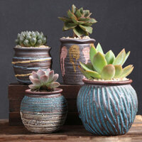 Chậu hoa mọng nước bằng gốm sứ, chậu đất sét đen thô cho ban công, chậu nhỏ đặc biệt, bán buôn thanh lý