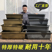 Chậu hoa nhựa dày cỡ lớn hình chữ nhật chậu trồng rau ban công gia đình chậu trồng cây dài Chậu hoa sen thủy canh