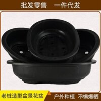 Chậu hoa nhựa hình bầu dục, chậu bonsai loại eo, lớn, dày, bằng gỗ thông đen Úc, cây bách, cây bách, cây ficus, cây trồng trong chậu