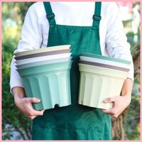 Chậu Hoa Phong Cách Mới Trái Cây Nhỏ Tin Hoa Nồi Hollen Nồi Nhựa Phong Cách Thấp Nhựa Hoa Hồng Gallon Bóng Rễ Hộ Gia Đình Chuyên Dụng Zhuding Dày