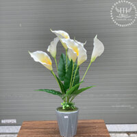 Chậu hoa rum trắng CX17