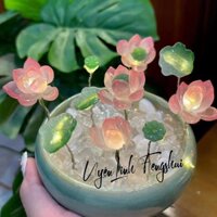 Chậu Hoa Sen Đá Mini Tự Làm, Trang Trí Đèn Ngủ, Công Dùng Làm Quà Tặng Sinh Nhật / Lễ Hội,Sen Đá Phát Sáng