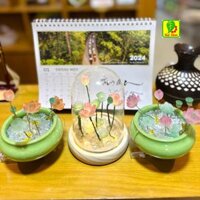 chậu hoa sen đá phát sáng, set hoa sen đá tự làm phát sáng +FREE SHIP