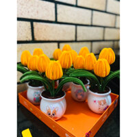 Chậu hoa Tulip để bàn làm việc mini kẽm nhung trang trí