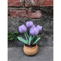 Chậu hoa tulip móc len