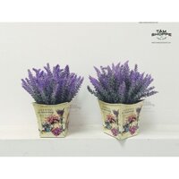 Chậu hoa Vintage Lavender No.22 TTTM